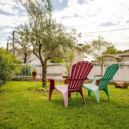 Parc De 250 M Villa Royan